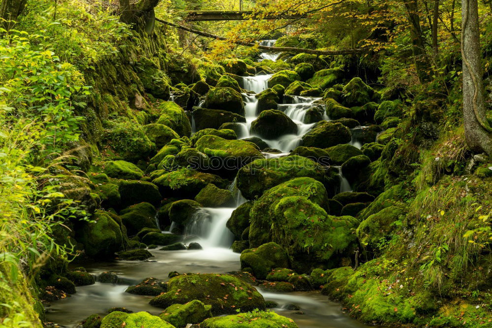 Similar – The Creek at the Yoro Waterfall in Gifu, Japan