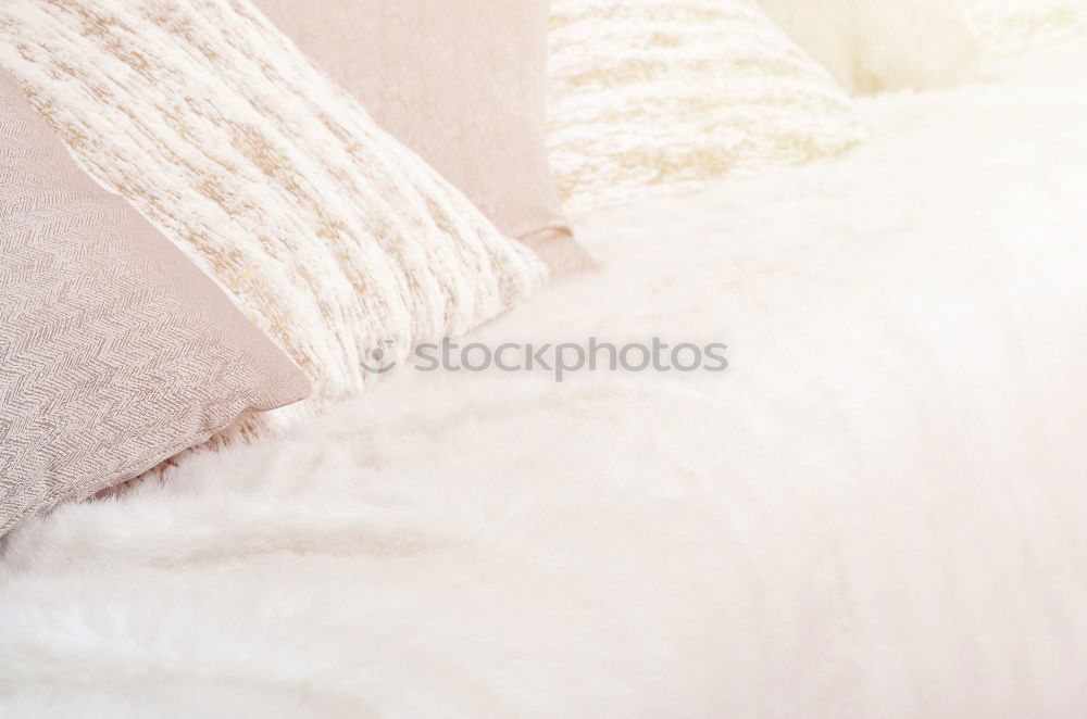 Similar – Image, Stock Photo Tired dog sleeping on bed under blanket