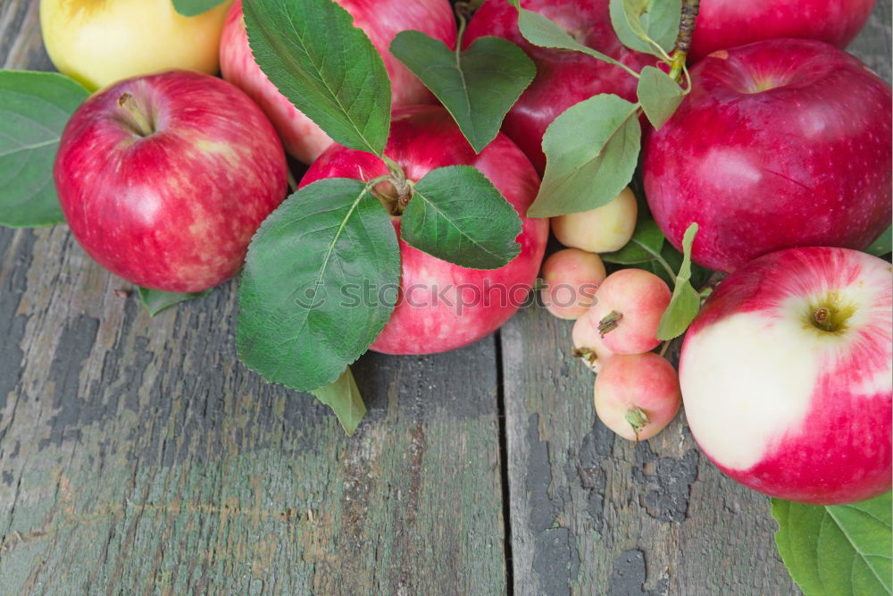 Similar – Image, Stock Photo the last apples of the year