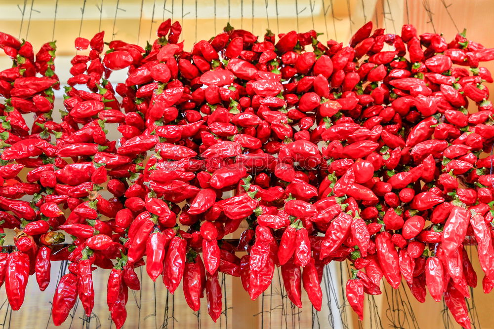 Similar – Sharp Healthy chilli Tangy