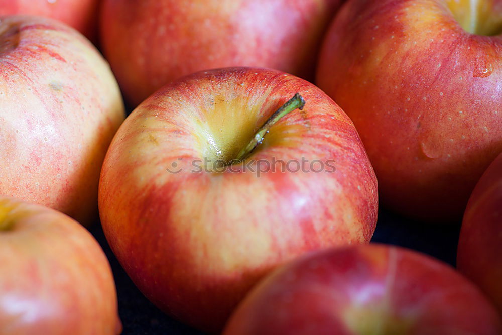 Similar – apple harvest Fruit Apple