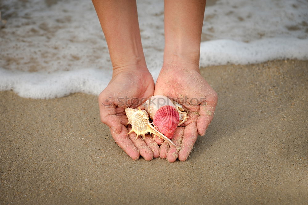 Similar – Image, Stock Photo hand shadow stone Life