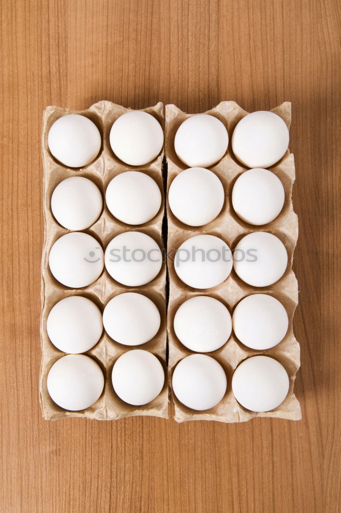 Similar – Image, Stock Photo Egg Egg Egg Egg Egg Egg Egg Egg Egg Egg Egg Egg Egg Egg Egg