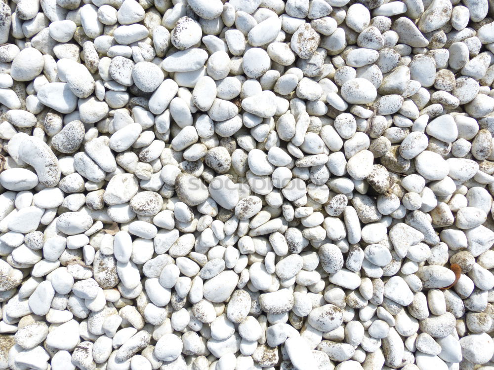 Similar – Image, Stock Photo Gravel white background