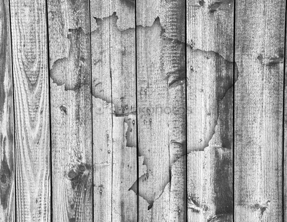 Similar – Image, Stock Photo CUT IN. Wood Old To dry up