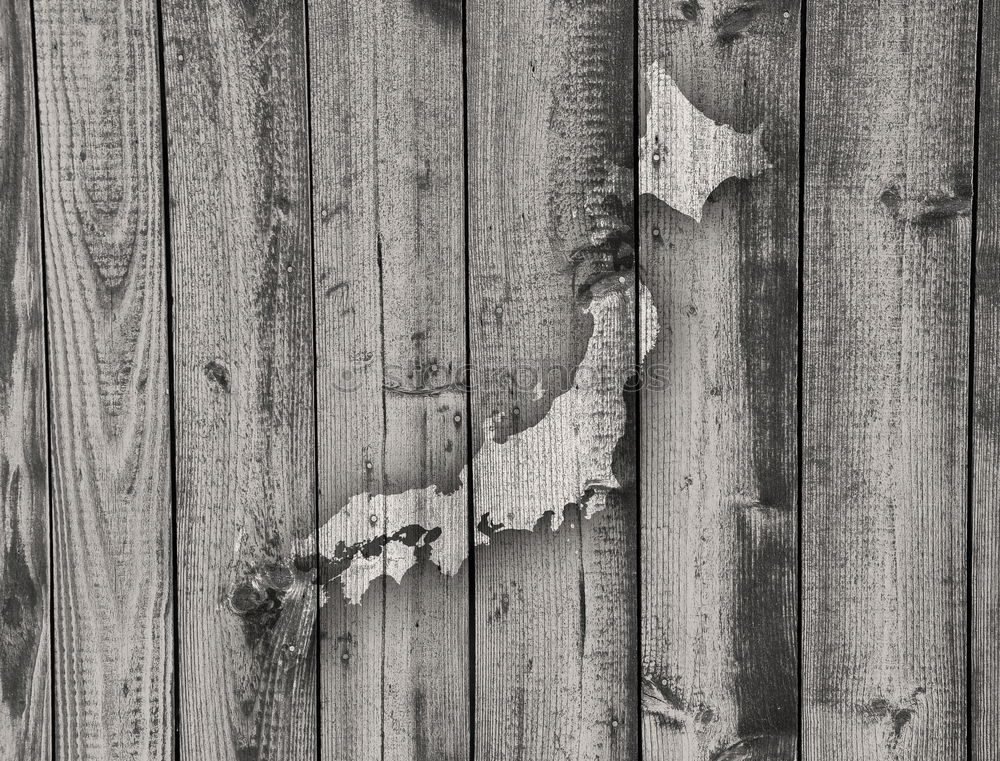 Similar – Image, Stock Photo frozen wood Environment