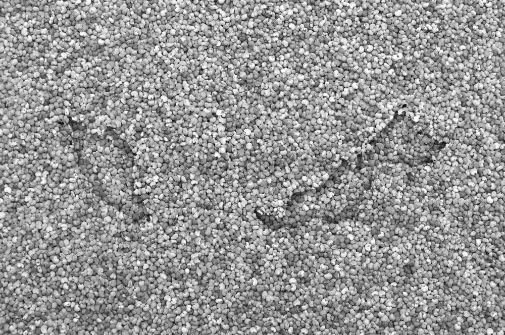 Similar – Image, Stock Photo Footprint in the sand Traces in the sand