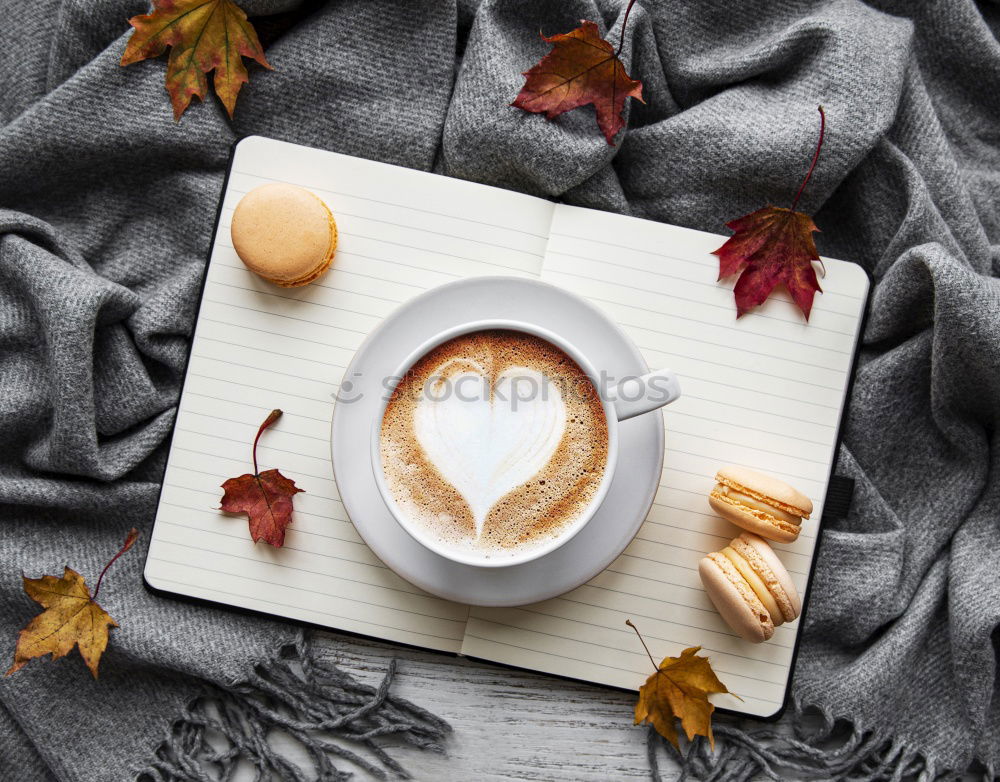 Similar – Image, Stock Photo cozy winter or autumn morning at home