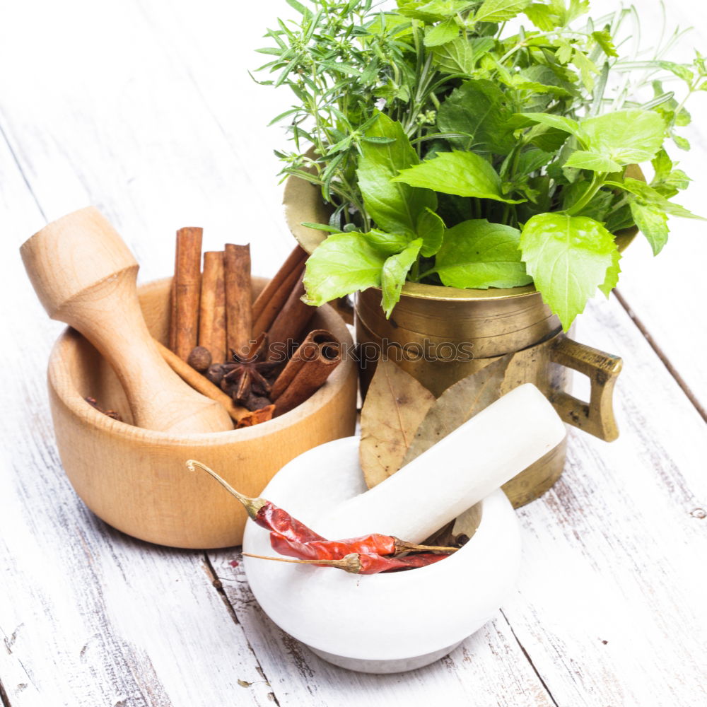 Image, Stock Photo Melissa leaf or lemon balm