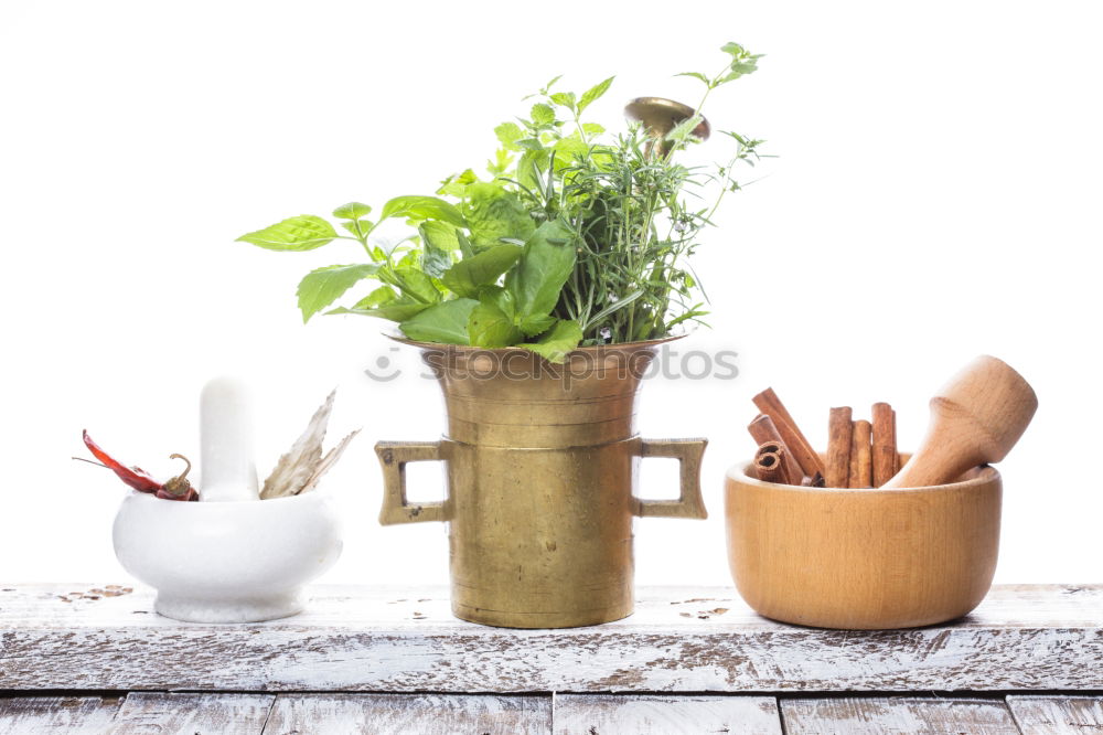 Similar – Spring flowers hyacinth with onions, tubers and shovel