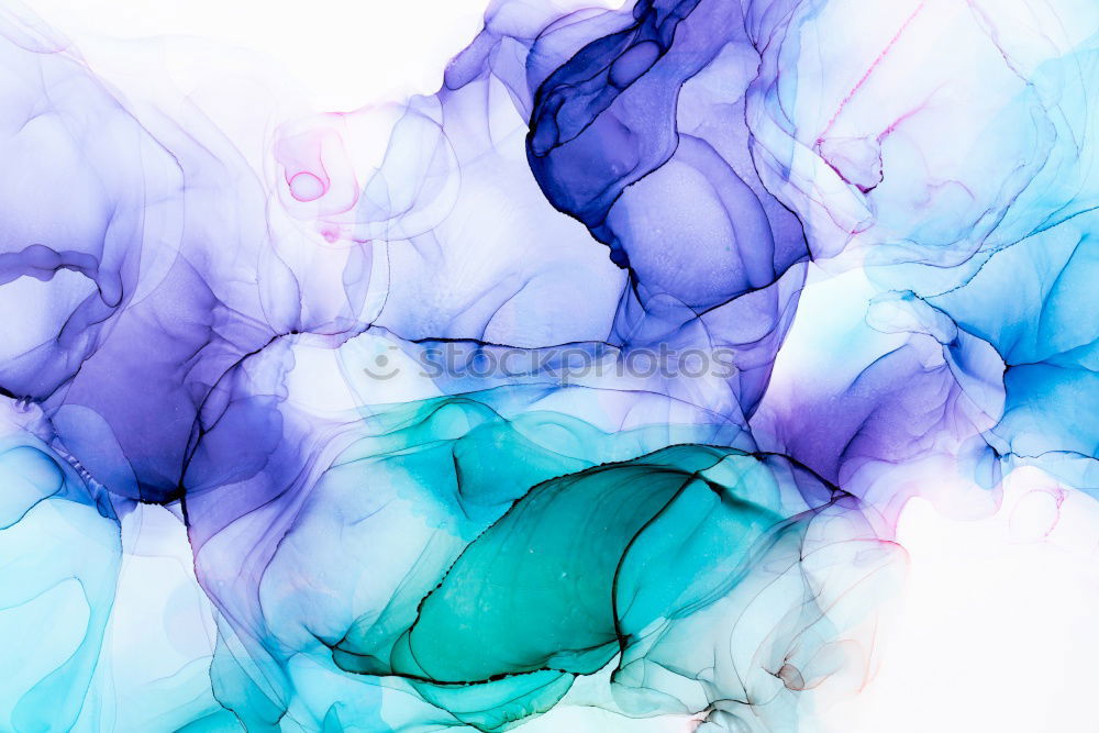 Similar – Image, Stock Photo flowering hydrangea