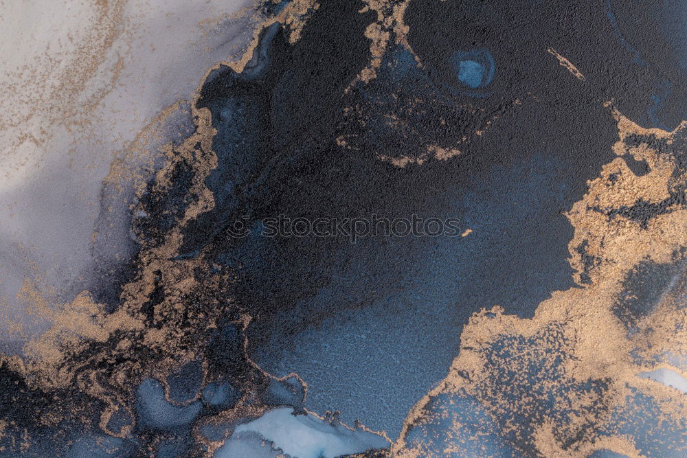 Similar – Image, Stock Photo Snail shell on the ground close-up