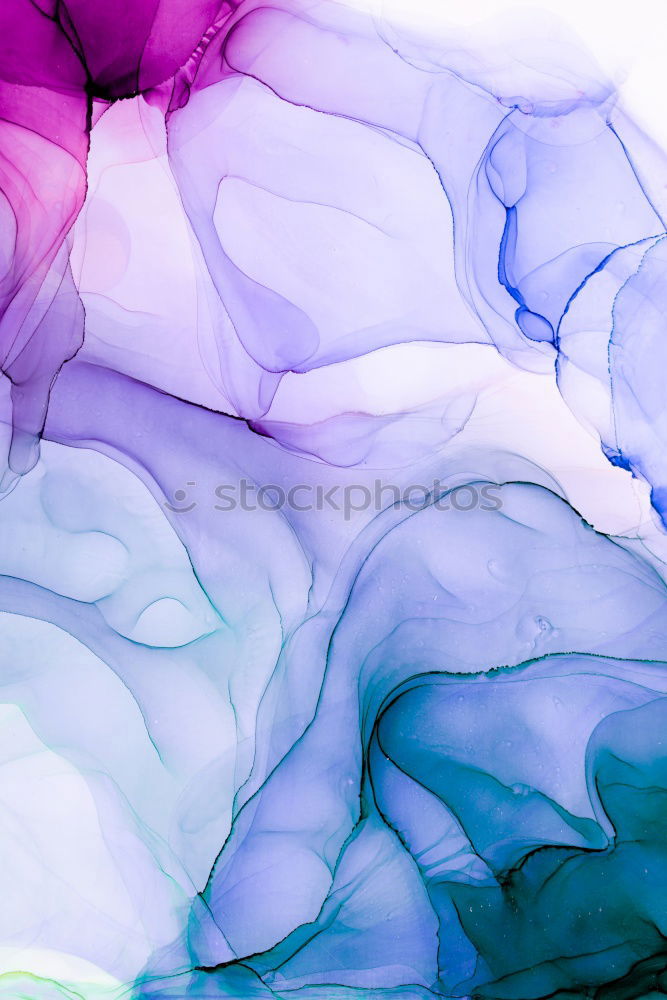 Similar – Image, Stock Photo flowering hydrangea