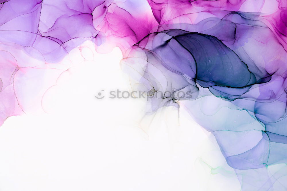 Similar – Foto Bild lila violett rosa