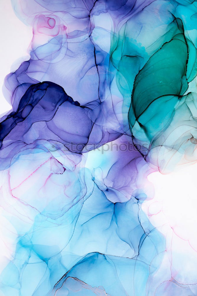 Similar – Image, Stock Photo flowering hydrangea