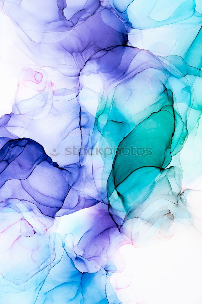 Similar – Image, Stock Photo flowering hydrangea