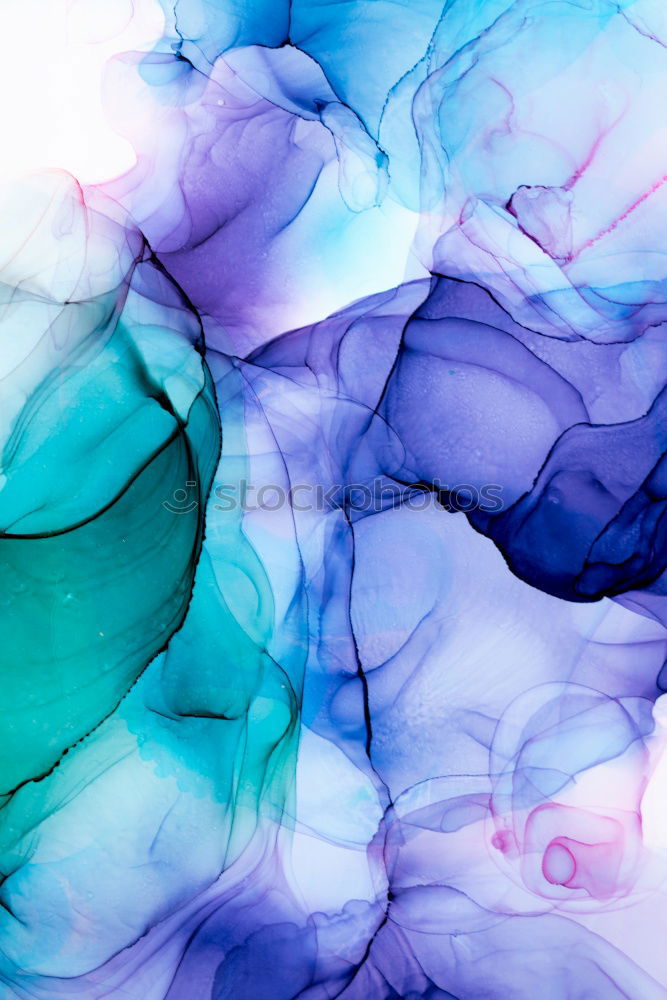 Image, Stock Photo flowering hydrangea