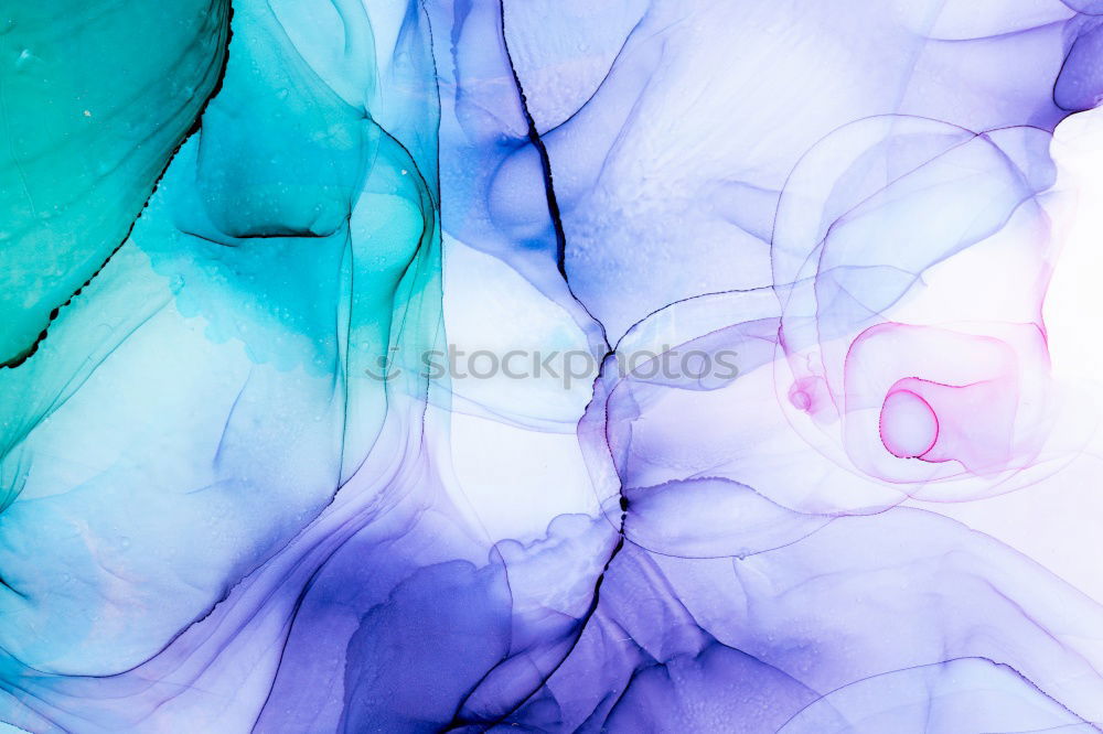 Similar – Image, Stock Photo flowering hydrangea