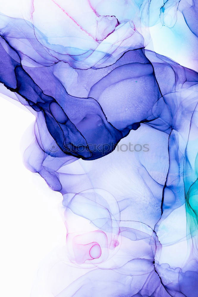 Similar – Image, Stock Photo flowering hydrangea