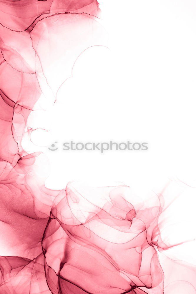 Similar – Image, Stock Photo pink Harmonious Nature