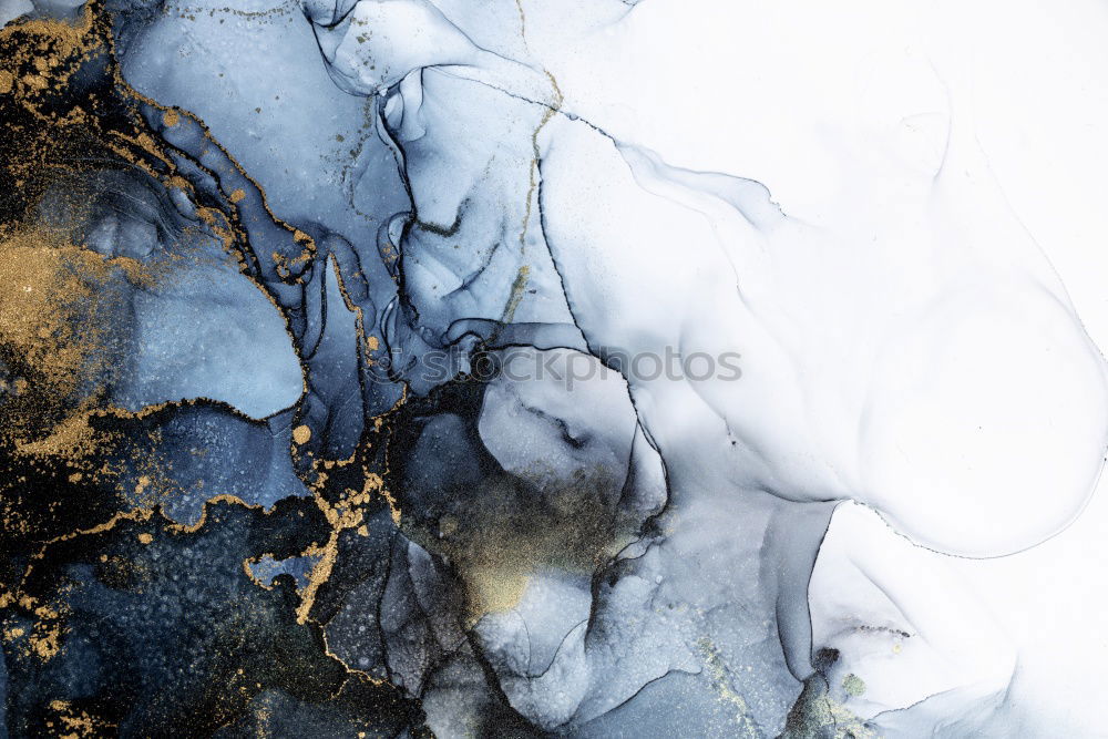 Similar – Image, Stock Photo ice flowers Winter Ice