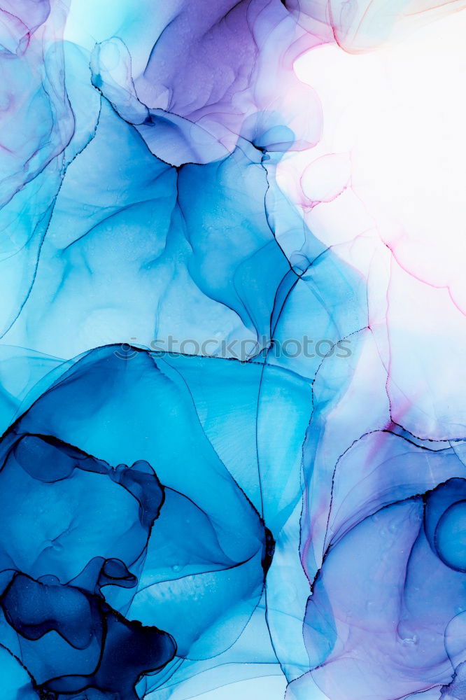 Similar – Image, Stock Photo flowering hydrangea