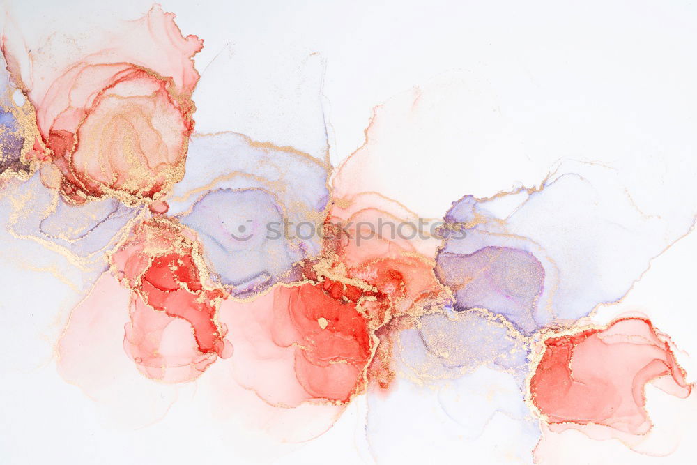 Similar – Image, Stock Photo herbarium Art Environment