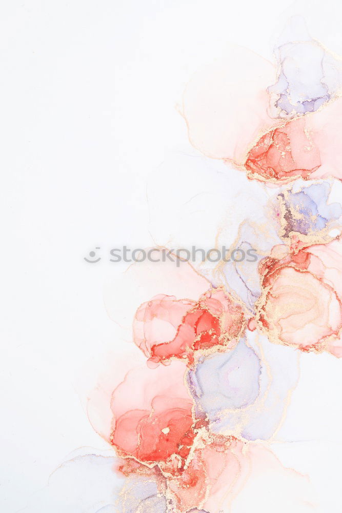 Similar – Image, Stock Photo Seashells. Top view with copy space.