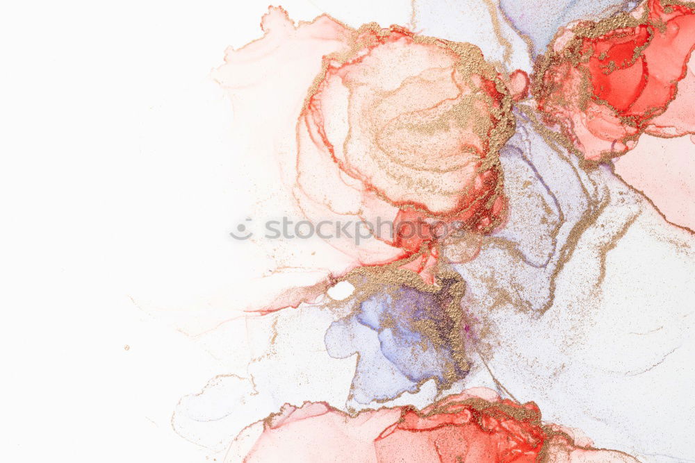 Image, Stock Photo herbarium Art Environment