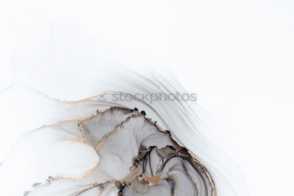 Image, Stock Photo Beautiful white wedding dress