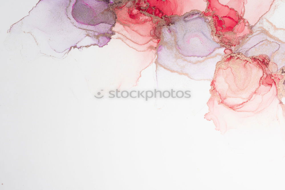 Similar – Image, Stock Photo Beautiful flowers on blue Shabby Chic background