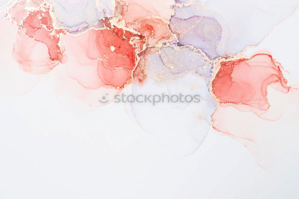 Similar – Image, Stock Photo Seashells. Top view with copy space.