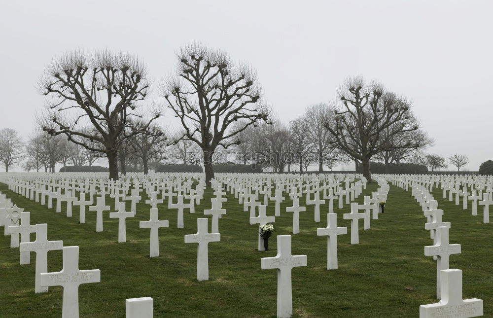 Similar – war graves France