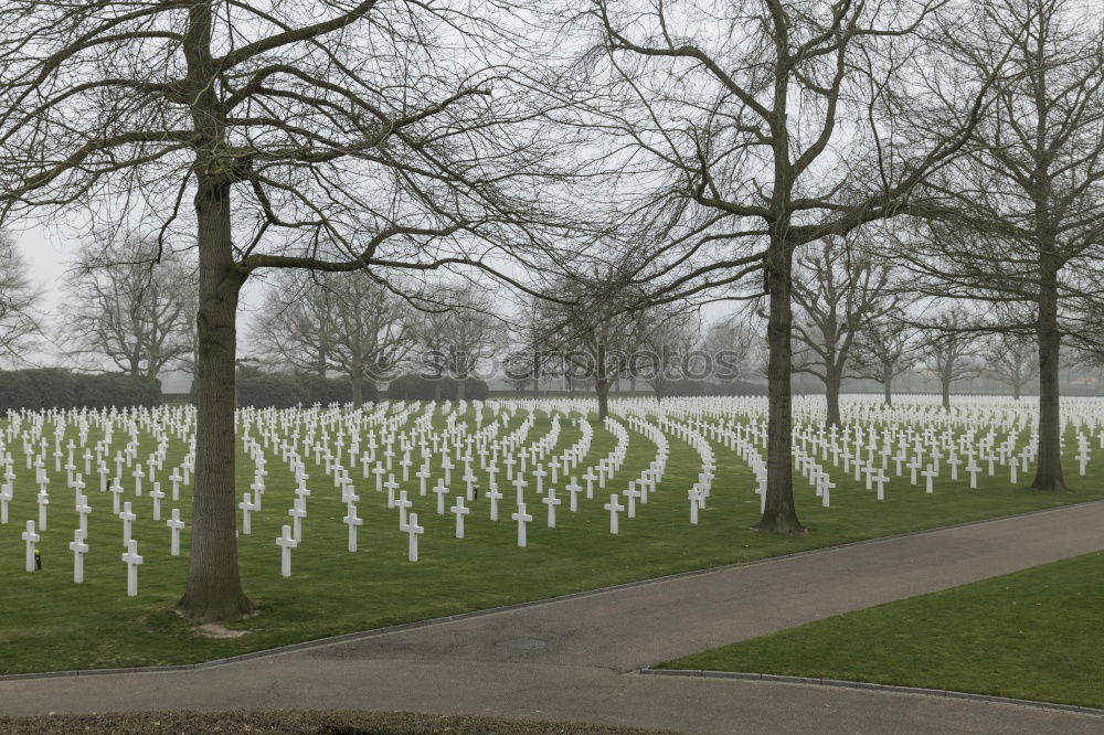 Similar – Image, Stock Photo 60 years later Cemetery