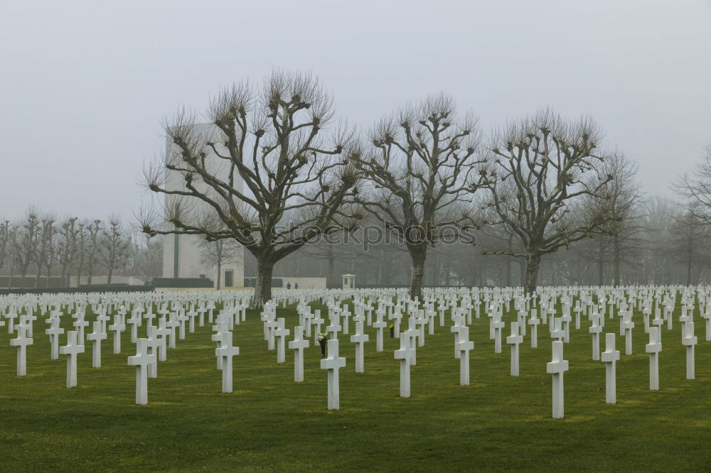 Similar – Image, Stock Photo 60 years later Cemetery