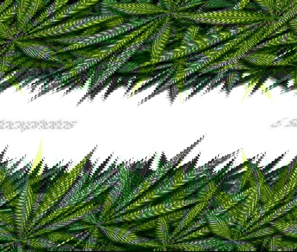 Similar – Image, Stock Photo Cannabis