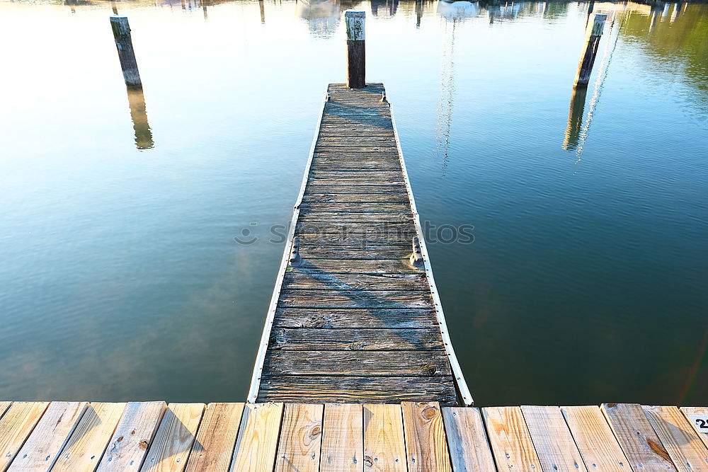 Similar – am See Steg Holz Möwe