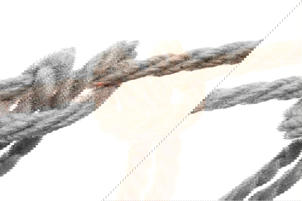 Similar – Image, Stock Photo Ropes tied in knots