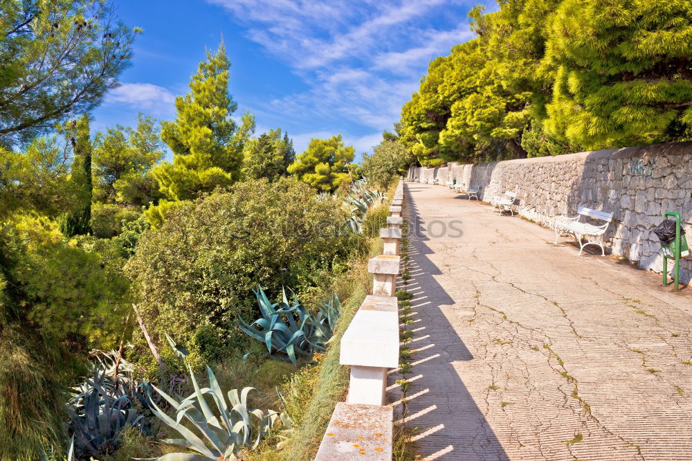 Similar – dilapidated open-air pool, decay