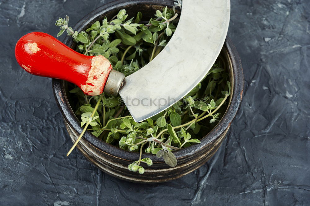 Similar – Foto Bild Ohrfeigenfarben zum Nachtisch