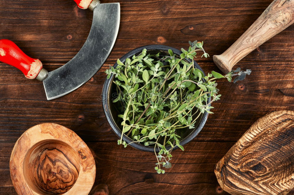 Similar – Image, Stock Photo Green onion on a kitchen cutting board