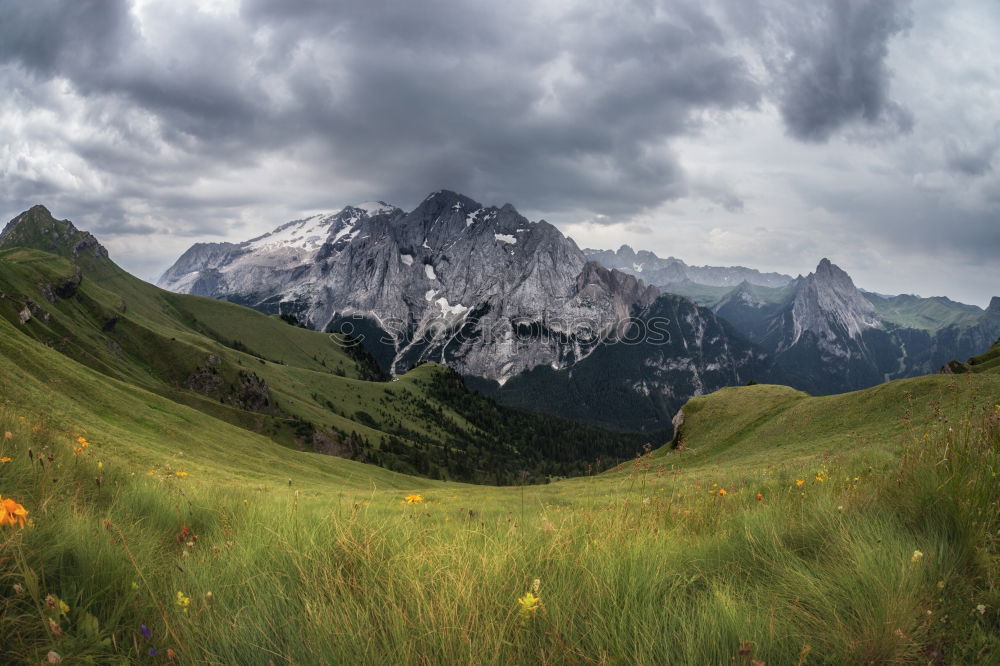 Similar – weißgefleckte Berglandschaft