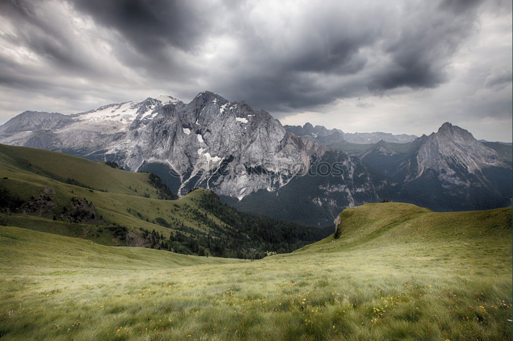 Similar – Seiser Alm harmonisch