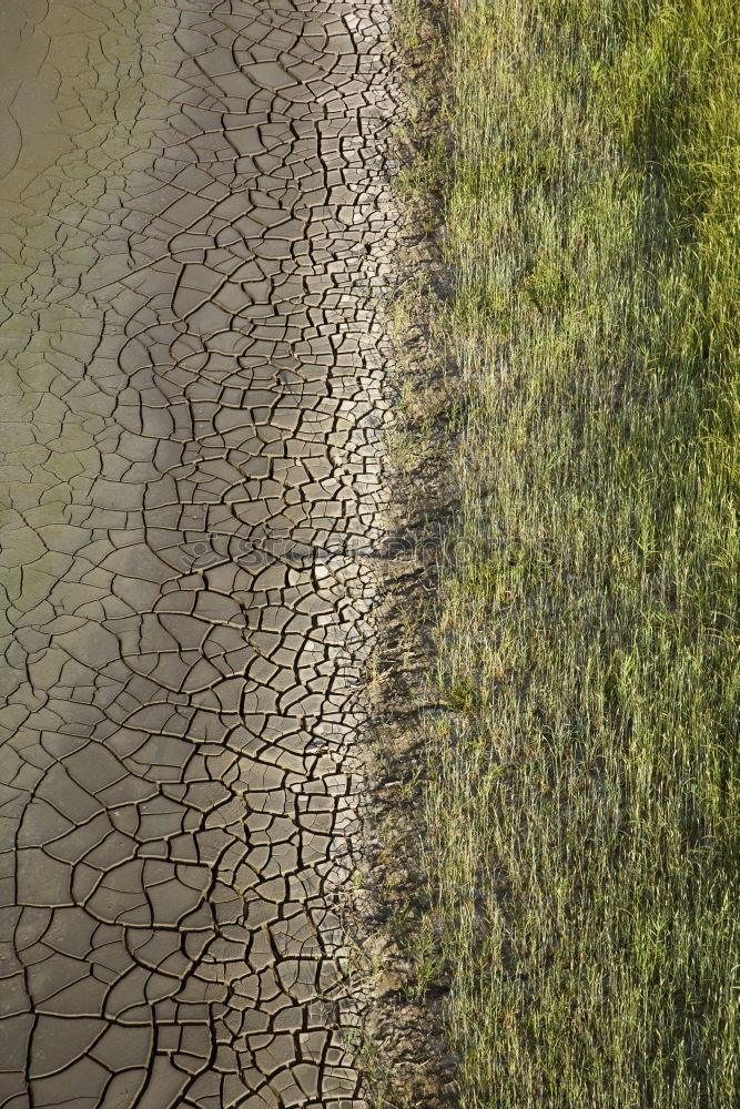 Similar – Foto Bild Leuchtturm Westerhever