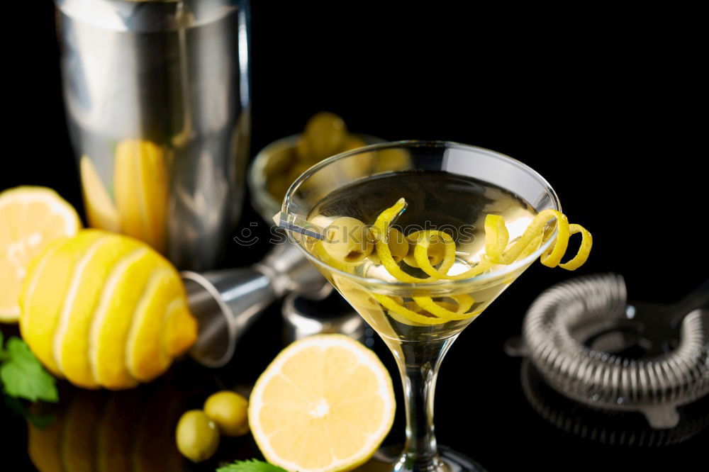 Similar – Image, Stock Photo Ingredients for lemonade or cocktails