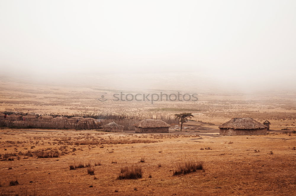 Similar – Image, Stock Photo Small house and hill Hill