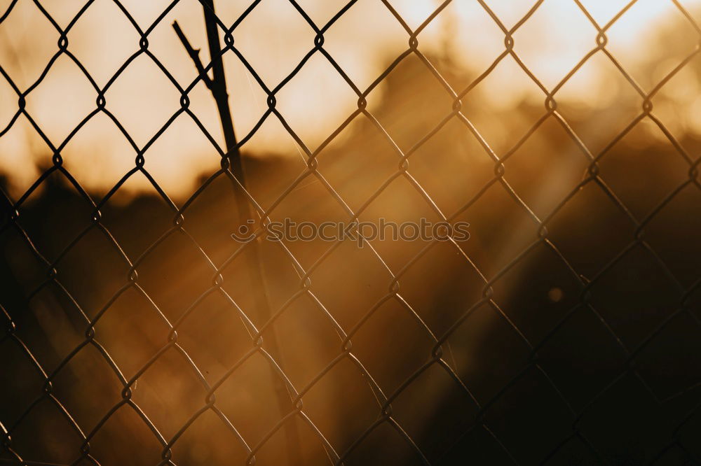 Similar – Image, Stock Photo walk detail Fence