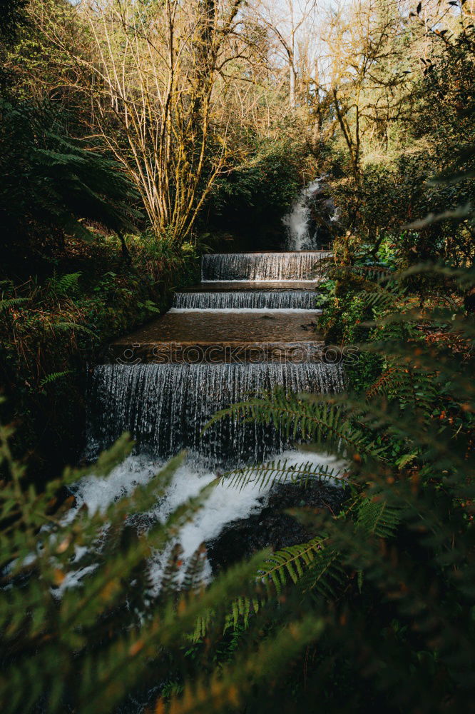 Similar – Woman sitting on a stone bridge in Dartmoor, England