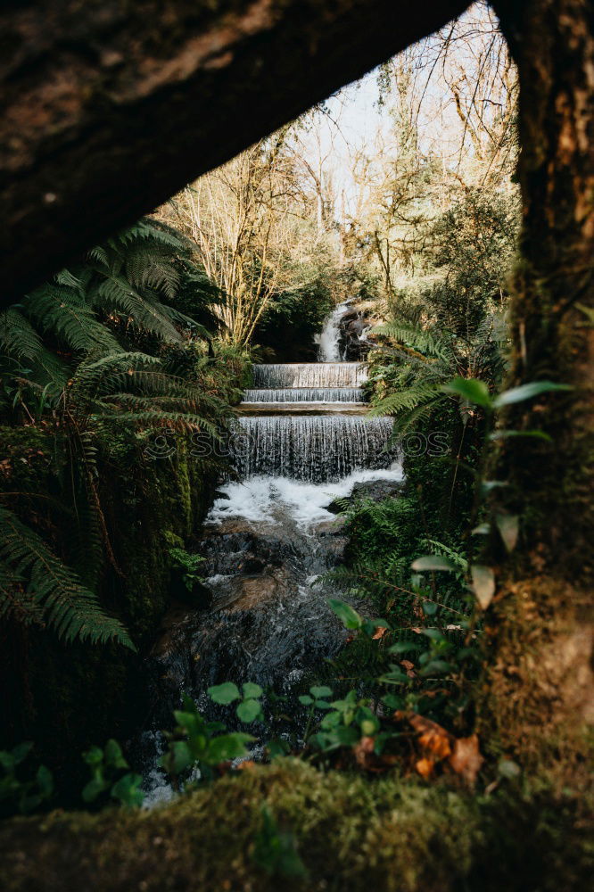 Similar – Owengarriff River Natur