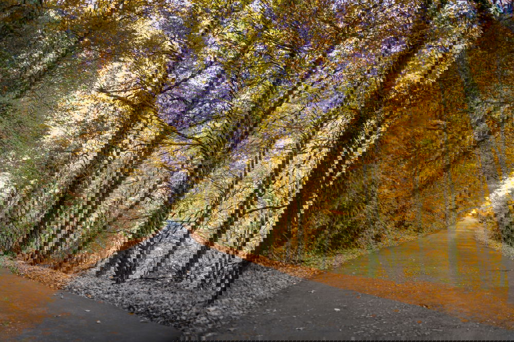 Similar – Image, Stock Photo In-between time
